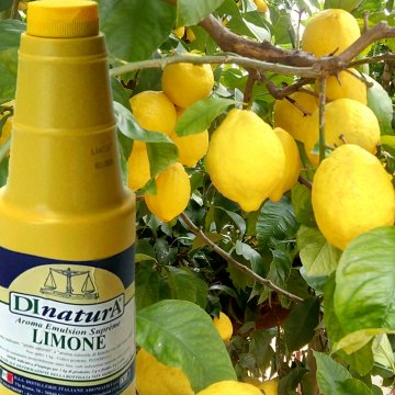AROMA EMULSION NATURALE LIMONE KG 1